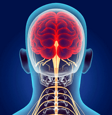 a nyaki gerinc idegcsatornáinak illusztrációja